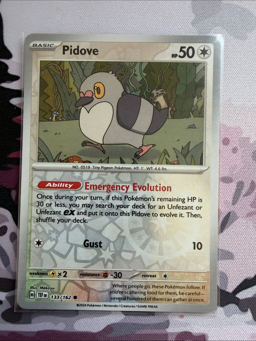 Pidove, Tranquill & Unfezant Evolution Lot | 6 Cards | Reverse Holo | ✨5/$25✨